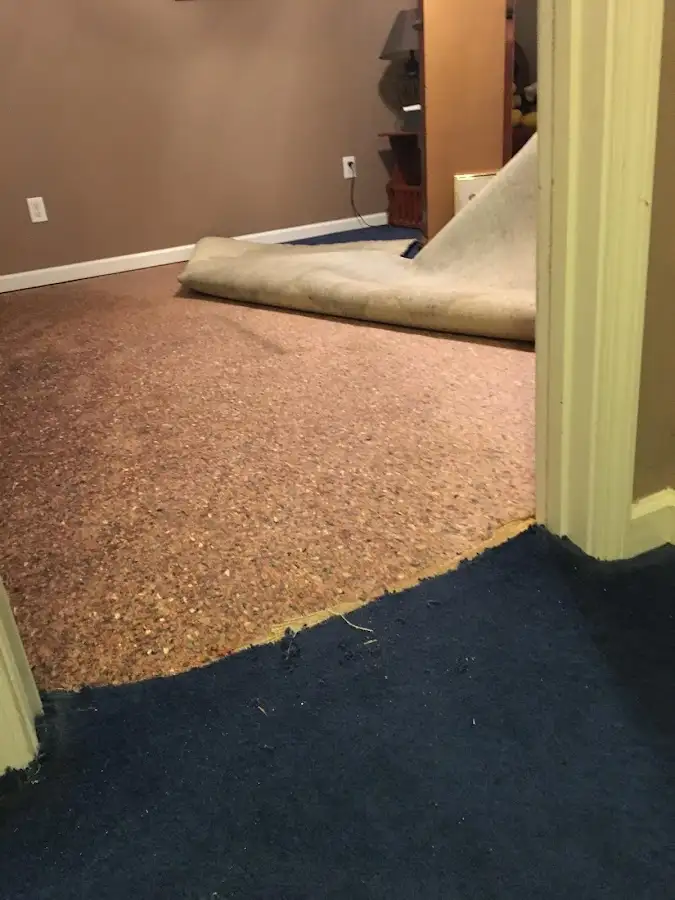 Carpet pad removal revealing water damage during Water Mitigation Services in Moorhead